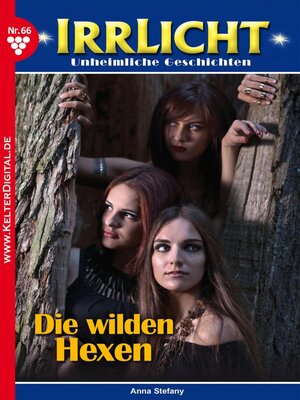 cover image of Irrlicht 66 – Mystikroman